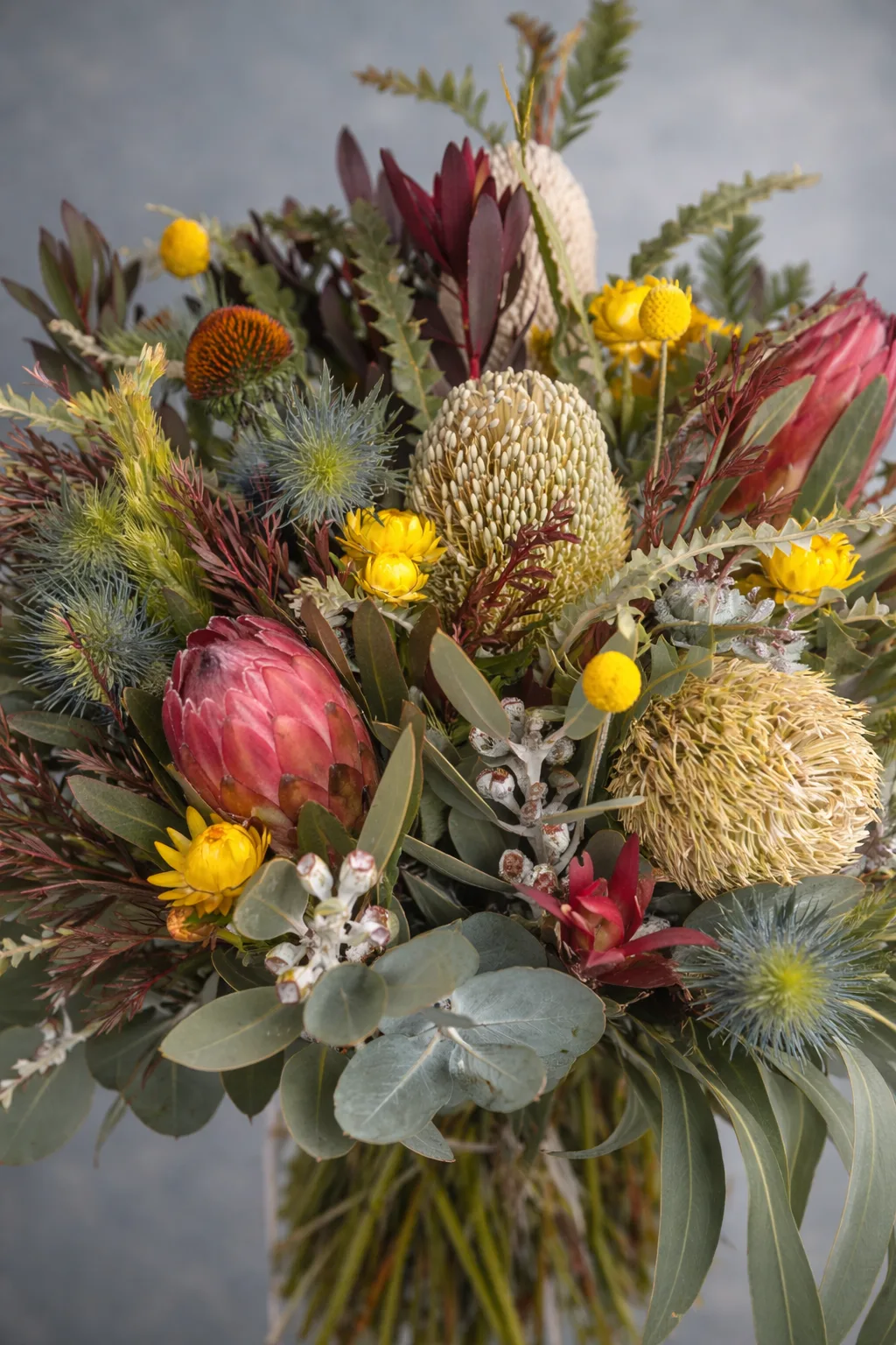 Wildflower Bouquet — native protea, banksia, billy-buttons and sea-holly close-up